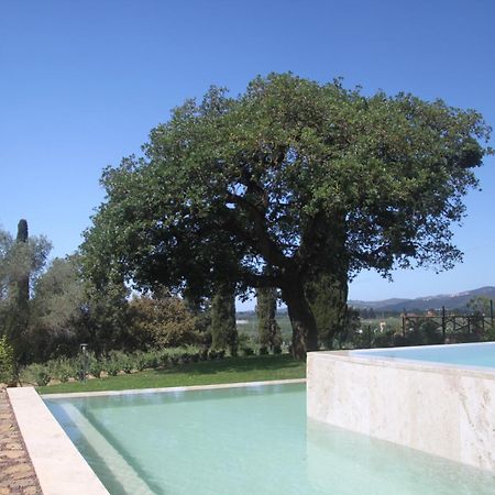 Agriturismo Il Broletto Suvereto Eksteriør billede